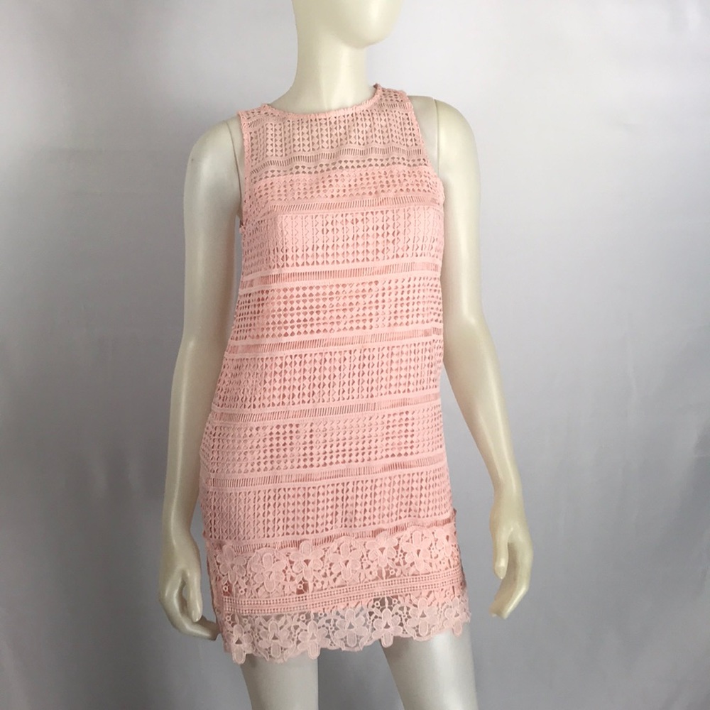 Abercrombie and Fitch Pink Lace Mini Dress Size XS